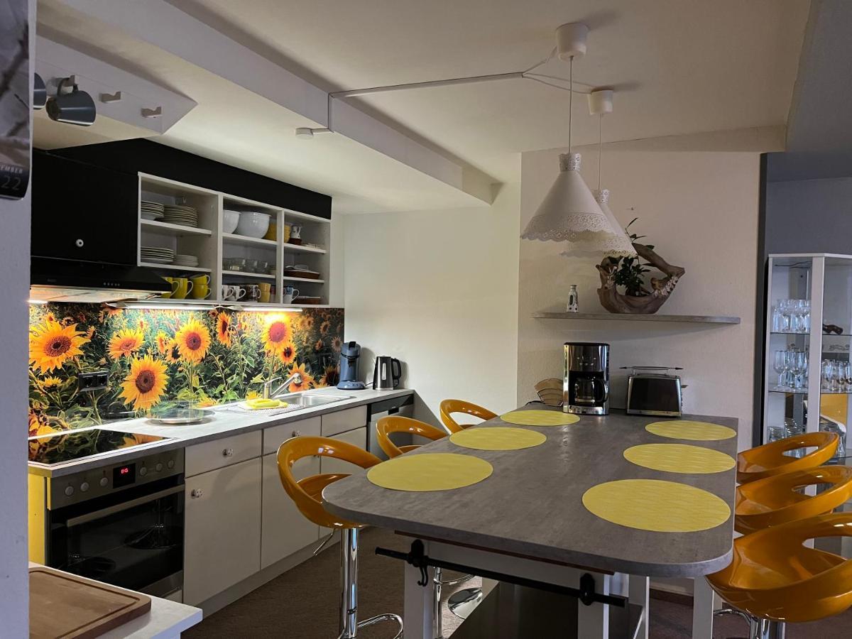 Apartment Der Falkenhorst Bad Sachsa
